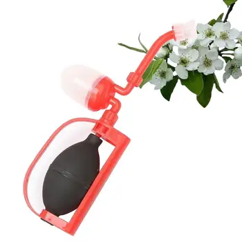 Polenizator Instrument Profesional De Tomate Cu Flori De Polenizatori Gradina Instrumente Profesionale Pentru Păr. Piersic Legume
