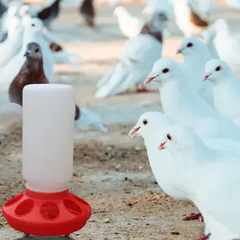 2 buc sticla de 1 litru de Pui Alimentatorul Convenabil, Ușor De Curățat Alimentator de Pasăre Reutilizabile hranei pentru Păsări de alimentare cu Apă Pentru Acasă