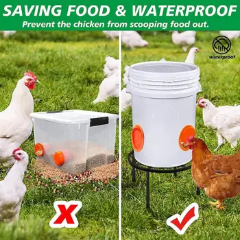 Ușor să Pui Accesorii Suport Metalic foarte rezistent pentru Alimentator de Pui Waterer Suport Durabil Rack pentru Păsări de curte pentru Acasă pentru Puii de găină